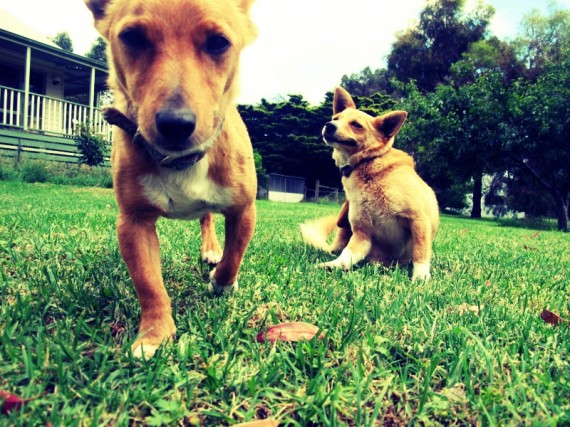 Camera Curious Camera Curious 570x427